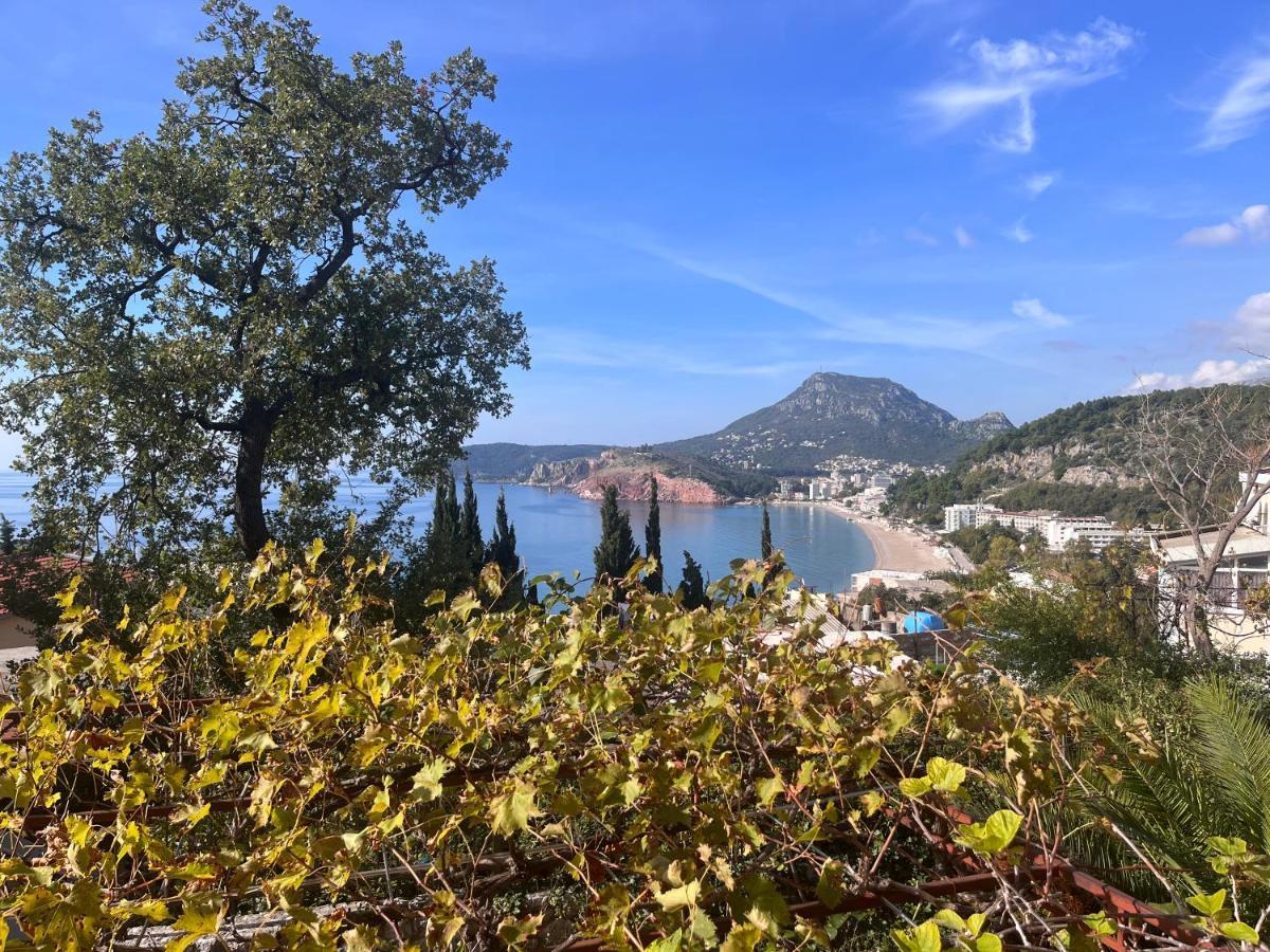 Apartments in villa Viktoria Sutomore Esterno foto