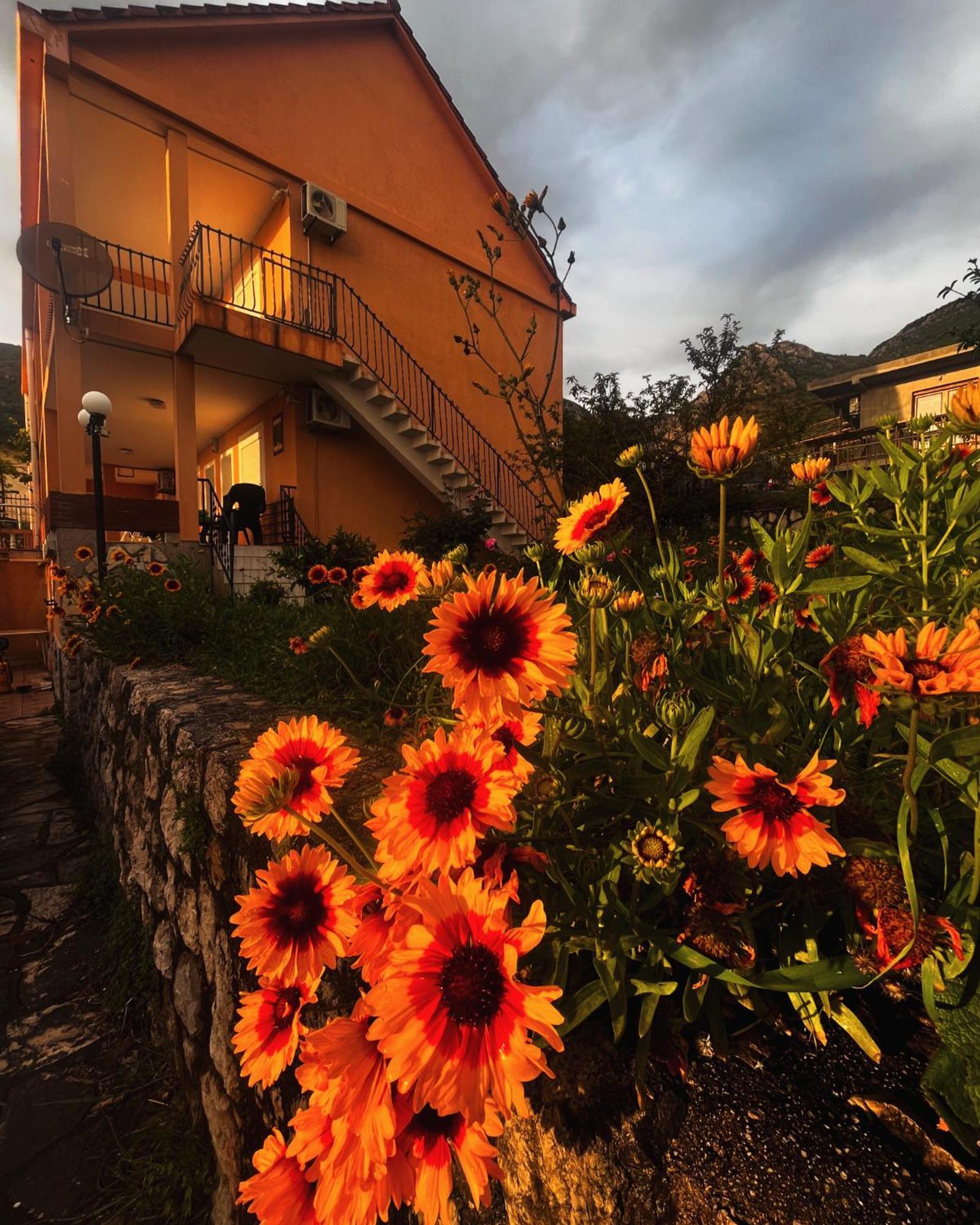 Apartments in villa Viktoria Sutomore Esterno foto